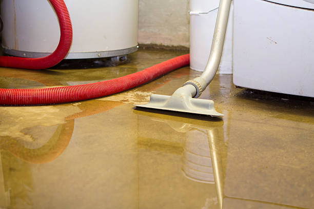 Best Water damage cleanup near me  in Miamisburg, OH